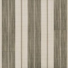 Phifertex Spectrum Stripe Dune ZHU 54-inch Stripes Collection Sling Upholstery Fabric