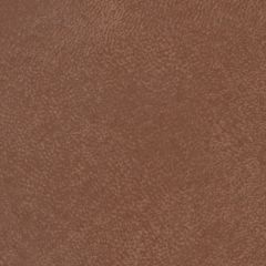 Softside Seabreeze Ginseng Brown 860 Upholstery Fabric