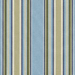 Tempotest Home Tango Aruba 5416-21 Fifty Four Collection Upholstery Fabric