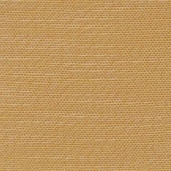 Perennials Ishi Sunstruck 950-85 Galbraith and Paul Collection Upholstery Fabric