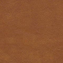 ABBEYSHEA Midship 84 Rust Marine Upholstery Fabric