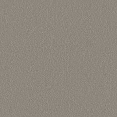 Serge Ferrari Stamskin Top Taupe F4340-20237 Upholstery Fabric - by the roll(s)
