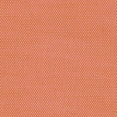 Perennials Ishi Melon 950-231 Galbraith and Paul Collection Upholstery Fabric