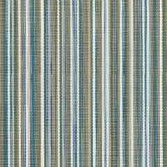 Phifertex Coco High Tide LIT 54-Inch Resort Collection Sling Upholstery Fabric