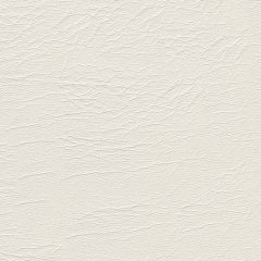 Softside Aries 1601 Brilliant White Marine Upholstery Fabric