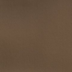 Olympus Suede OLY280ADF Multipurpose Upholstery Fabric