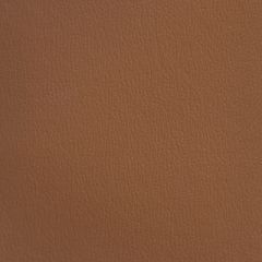 Olympus Cinnamon OLY210ADF Multipurpose Upholstery Fabric