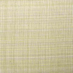 Bella Dura Grasscloth Ecru 28734A2 / 32558A1-22 Upholstery Fabric