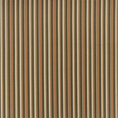 Phifertex Delray Stripe Conch DJ5 54-inch Sling / Mesh Upholstery Fabric