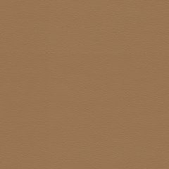 Spirit 387 Camel Contract Marine Automotive and Healthcare Upholstery Fabric