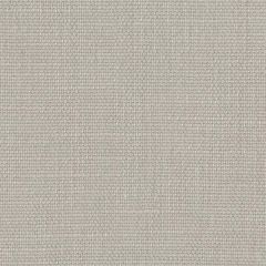 Perennials Rough 'n Rowdy Ash 955-108 Beyond the Bend Collection Upholstery Fabric