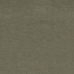 Tempotest Home Sempre Pecan 51706/106 Bel Mondo Collection Upholstery Fabric