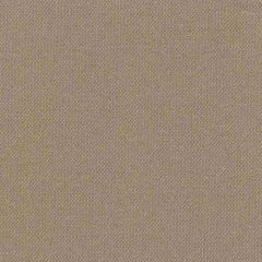 Tempotest Home Brown 930/0 Solids Collection Upholstery Fabric
