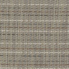 Sunbrella Shangrila-Dove 50171-0000 Sling Upholstery Fabric