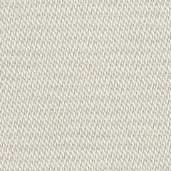 Perennials Nit Witty Bone 930-202 Camp Wannagetaway Collection Upholstery Fabric