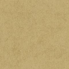 Sunbrella Wheat 78009-0000 The Terry Collection Upholstery Fabric