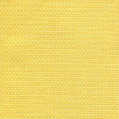 Tempotest Home Michelangelo Buttercup 50964/3 Strutture Collection Upholstery Fabric