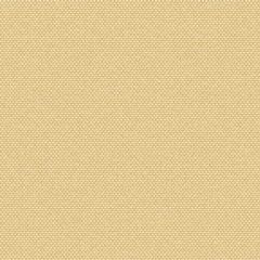 Outdura Rumor Buttercup 6662 Modern Textures Collection Upholstery Fabric - by the roll(s)