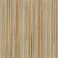 Phifertex Charisma Citrus 687 Stripes 54-inch Sling / Mesh Upholstery Fabric