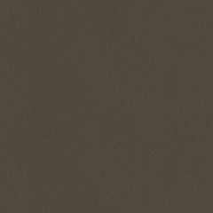 Top Gun 1S 4059 Taupe 60 Inch Marine Topping and Enclosure Fabric