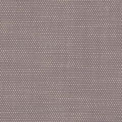 Perennials Rough 'n Rowdy Lavender 955-277 Beyond the Bend Collection Upholstery Fabric