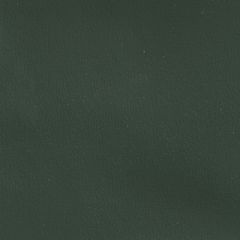 Olympus Boltasport Pine Needle OLY355 Multipurpose Upholstery Fabric
