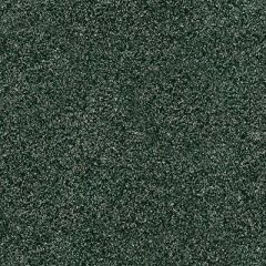 Zodiac 27 Charcoal Automotive and Interior Upholstery Fabric