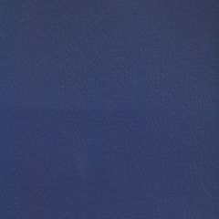 Olympus Boltasport Royal OLY190 Multipurpose Upholstery Fabric