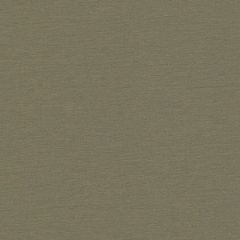 Softside Reflex Moss 7814 Upholstery Fabric