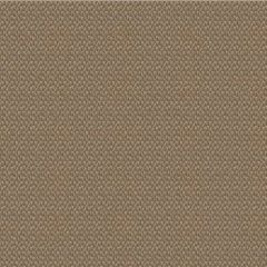 Outdura Reflections Walnut 9230 Ovation 3 Collection - Earthy Balance Upholstery Fabric