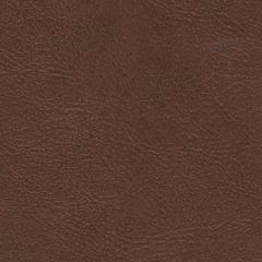 Sierra 9565 Medium Brown Automotive and Interior Upholstery Fabric