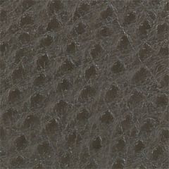 Skin Tex Ostrich SO-352 Charcoal Outdoor Upholstery Fabric