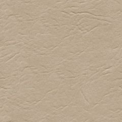 Rogue 920 Taupe Automotive and Interior Upholstery Fabric