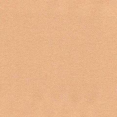 Tempotest Home Complexion 26/15 Solids Collection Upholstery Fabric