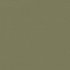 Chamea 11 Olive Automotive and Marine Seating Upholstery Fabric