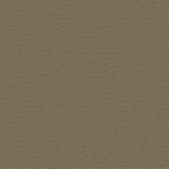 Top Notch FR 1042 Tan 60-Inch Marine Topping and Enclosure Fabric
