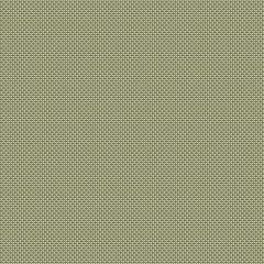 Serge Ferrari Batyline Lounge Reed 7720FR-50930 Upholstery Fabric - by the roll(s)