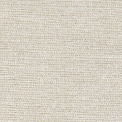 Perennials Touchy Feely Sea Salt 975-124 Beyond the Bend Collection Upholstery Fabric