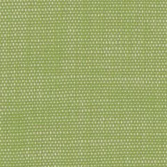 Perennials Rough 'N Rowdy R-Green 955-428 Beyond the Bend Collection Upholstery Fabric