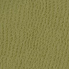 Nassimi Phoenix 013 Willow Faux Leather Upholstery Fabric