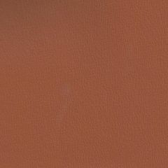 Olympus British Tan OLY215ADF Multipurpose Upholstery Fabric