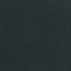 Tempotest Home Black 24/0 Solids Collection Upholstery Fabric