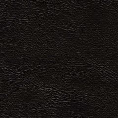 Sierra 9562 Black Automotive and Interior Upholstery Fabric