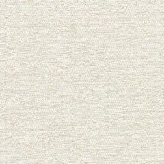 Old World Weavers La Caleta White Sand NK 0008CALE Elements VI Collection Contract Upholstery Fabric