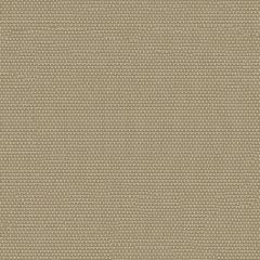 Phifertex Plus Stucco OY3 54-Inch Sling Upholstery Fabric