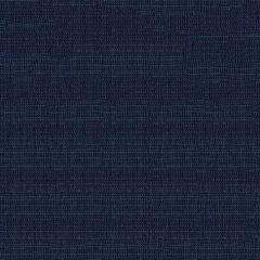 Phifertex Plus Dupioni Sapphire L96 54-Inch Sling Upholstery Fabric