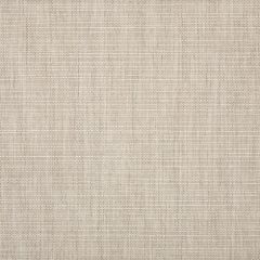 Remnant - Sunbrella Echo Ash 57005-0000 Elements Collection Upholstery Fabric (1.67 yard piece)
