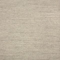 Remnant - Sunbrella Action Ash 44285-0001 Elements Collection Upholstery Fabric (1.36 yard piece)