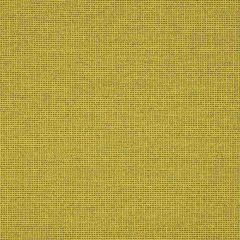 Sunbrella Rally Leaf 87005-0006 Transcend Collection Upholstery Fabric