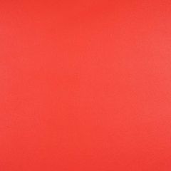 Sunbrella Capriccio Logo Red 10200-0016 Horizon Foam Back Marine Upholstery Fabric